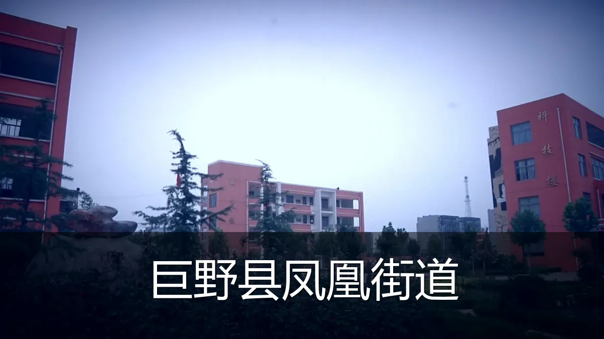 巨野县凤凰街道