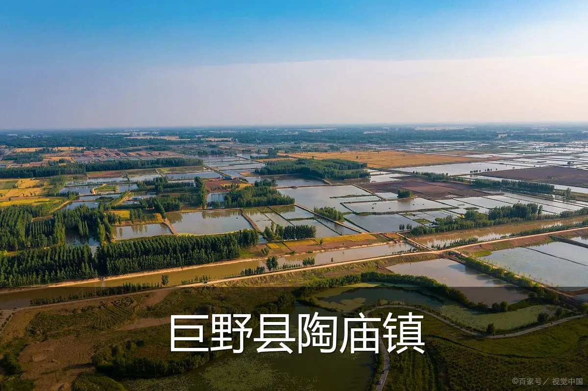 巨野县陶庙镇