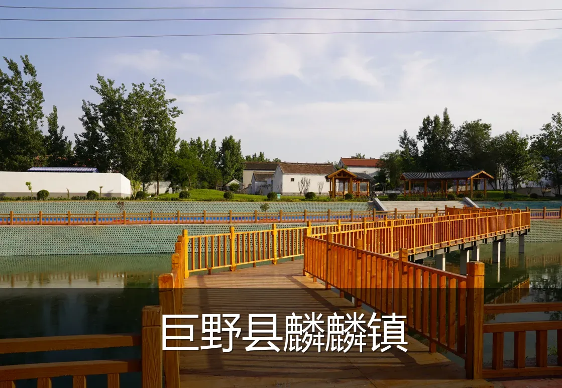 巨野县麟麟镇